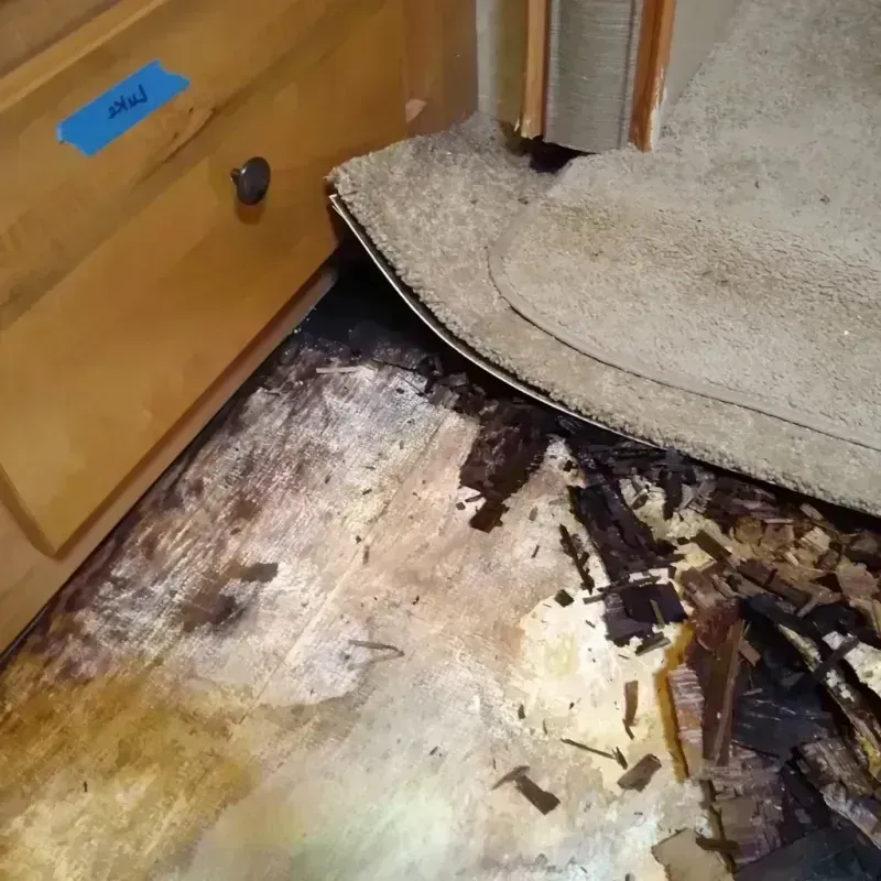 Wood Floor Water Damage in Blaine, MN